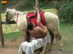Ebony chick tries horse dick inside her creamy pussy